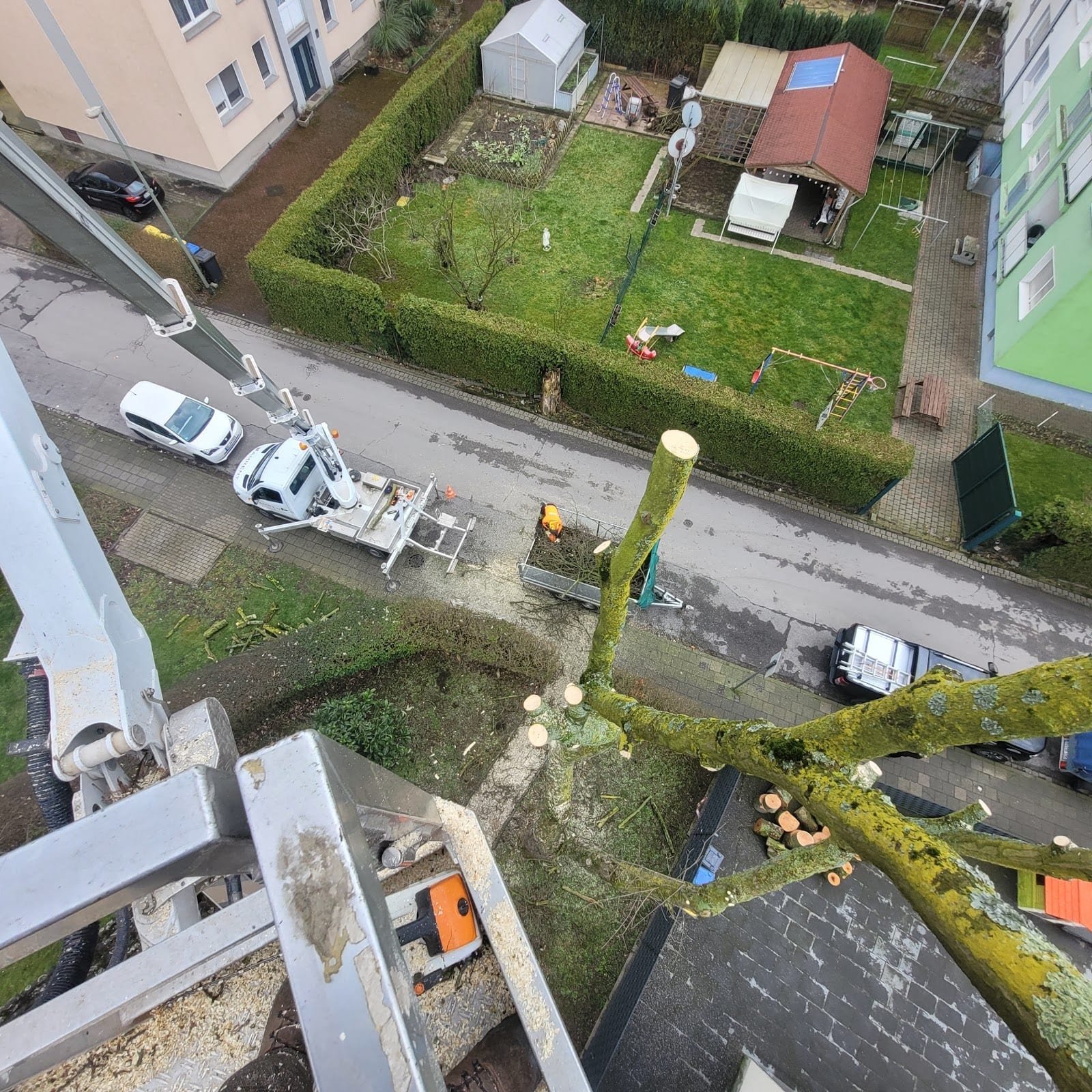 Blick aus dem Korb nach unten auf den eingekürzten Baum und das Fahrzeug