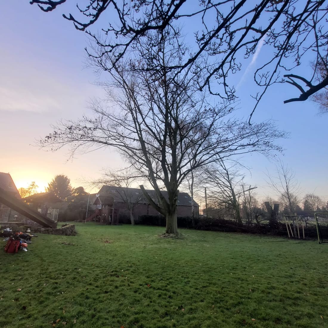 Der Baum am Morgen vor dem Einsatz, Ausrüstung liegt schon bereit