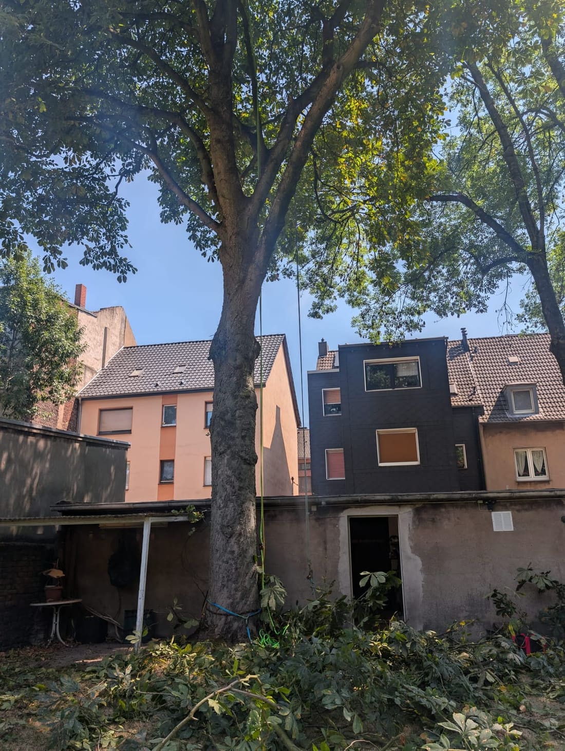 Arbeit im engen Hinterhof — das Seil hängt, das Schnittgut liegt schon unten