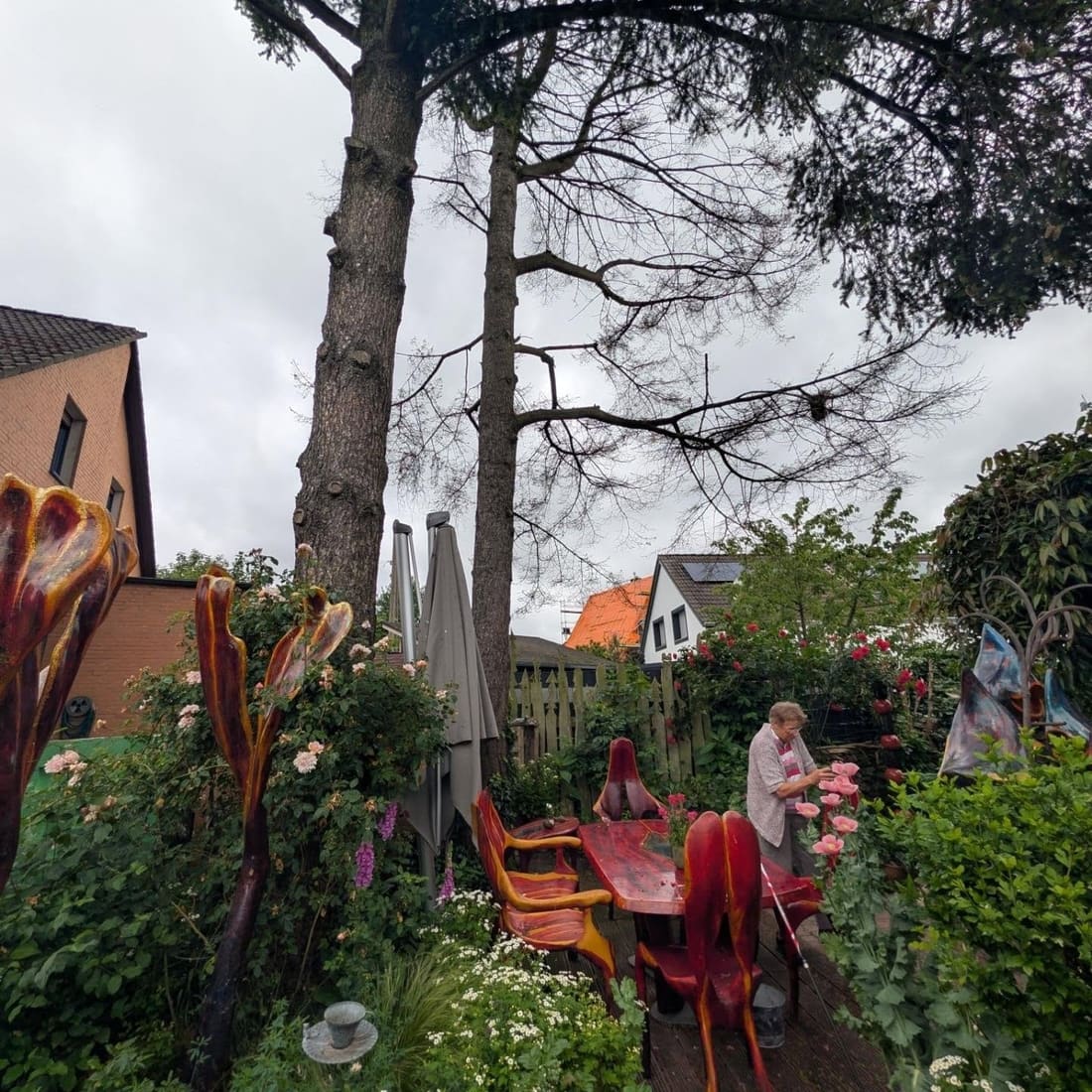 Zwei hohe Kiefern mit abgestorbenen Ästen über einer Gartenterrasse